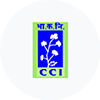 CCI Junior Assistant Exam